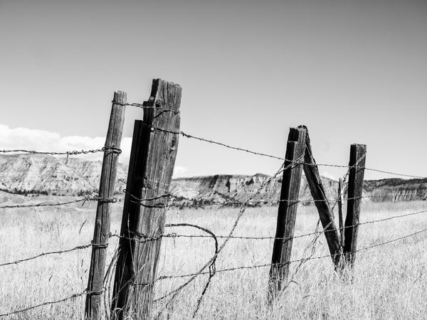 Black and white photograph of wooden fence posts in the Montana landscape that appear to spell the word "in."