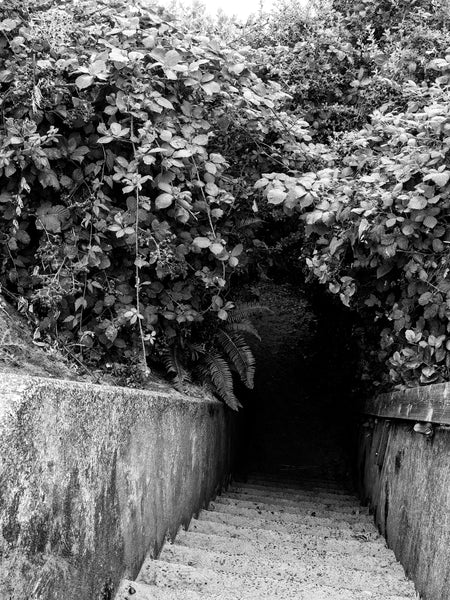 Black and white photograph of steps that lead beneath the overhanging vines on a short but enchanting path from the town of Cannon Beach to the sand and surf of the powerful Pacific Ocean on Oregon's coast.