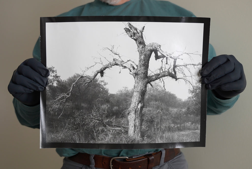 Limited edition black and white darkroom print of Keith Dotson's photograph of a gnarly old tree in the Texas Hill Country.


This is an original handmade darkroom print by Keith Dotson made on Ilford Classic Glossy gelatin silver fiber-based paper. The unframed print comes to you sealed in a photo-safe plastic sleeve for protection, unmounted and unframed. Edition of eight, plus two artist proofs.
