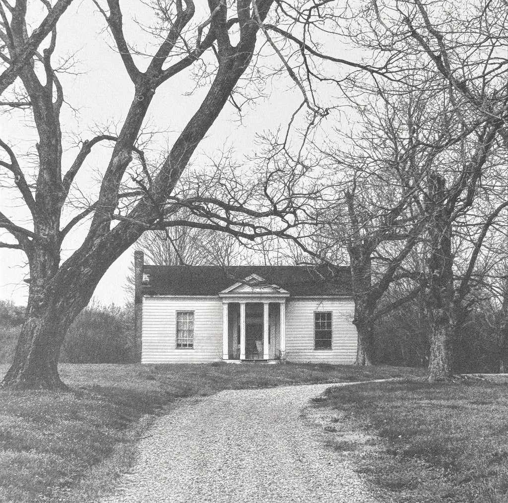 One-of-a-kind, handmade platinum/palladium print showing an old southern farmhouse on a gravel driveway surrounded by big barren winter trees. Limited to an edition of 8 plus two artist proofs, the price will increase with each sale. Each print of the edition will be a unique, handmade print that may vary slightly from the first print shown here.