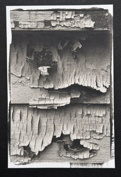 One-of-a-kind, handmade platinum/palladium print of a closeup photo of peeling paint on an old house in Newbern, Alabama. Limited to an edition of 8 at this size plus two artist proofs, the price will increase with each sale.