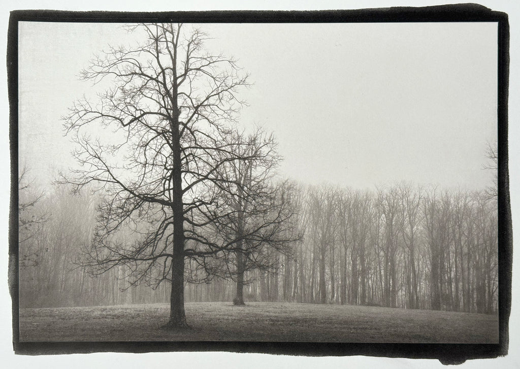 Foggy Morning Landscape - Handmade Platinum/Palladium Limited Edition Print