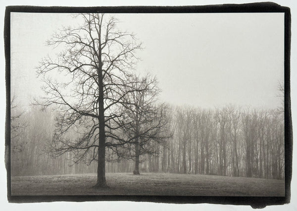 Foggy Morning Landscape - Handmade Platinum/Palladium Limited Edition Print