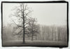 Foggy Morning Landscape - Handmade Platinum/Palladium Limited Edition Print