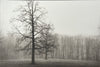 Foggy Morning Landscape - Handmade Platinum/Palladium Limited Edition Print