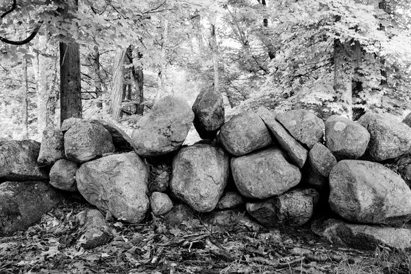 Black and white photograph of big rocks in an old stone wall that runs through the green forest of New England.