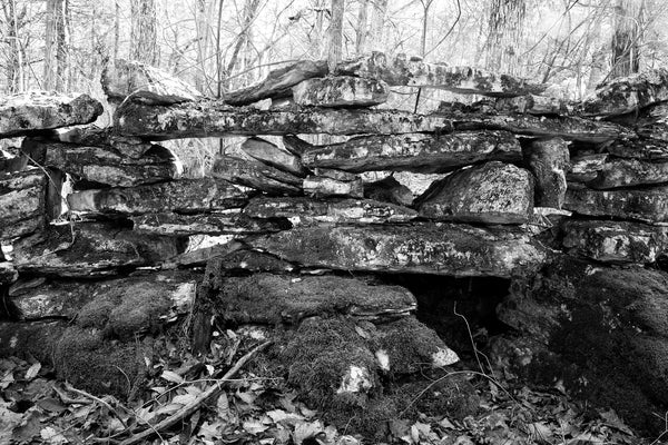 Black and white photograph of a historic stone wall running through the Kentucky landscape on the Collins Farm.