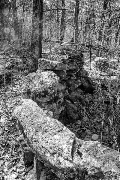 Black and white photograph of the long, historic stone wall running through the Kentucky landscape on the Collins Farm.