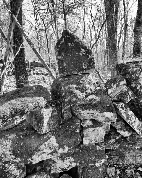 Historic Old Stone Wall on the Collins Farm  - Black and White Photograph (KD10124X)