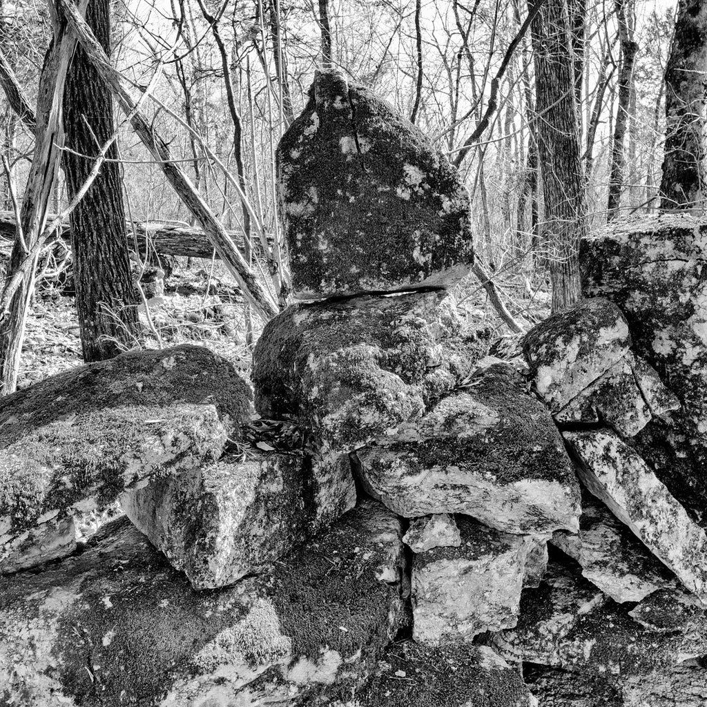 Black and white photograph of the long, historic stone wall running through the Kentucky landscape on the Collins Farm.