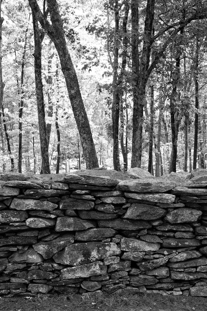 Black and white landscape photograph of an old dry-built stone wall in the forest of New England.
