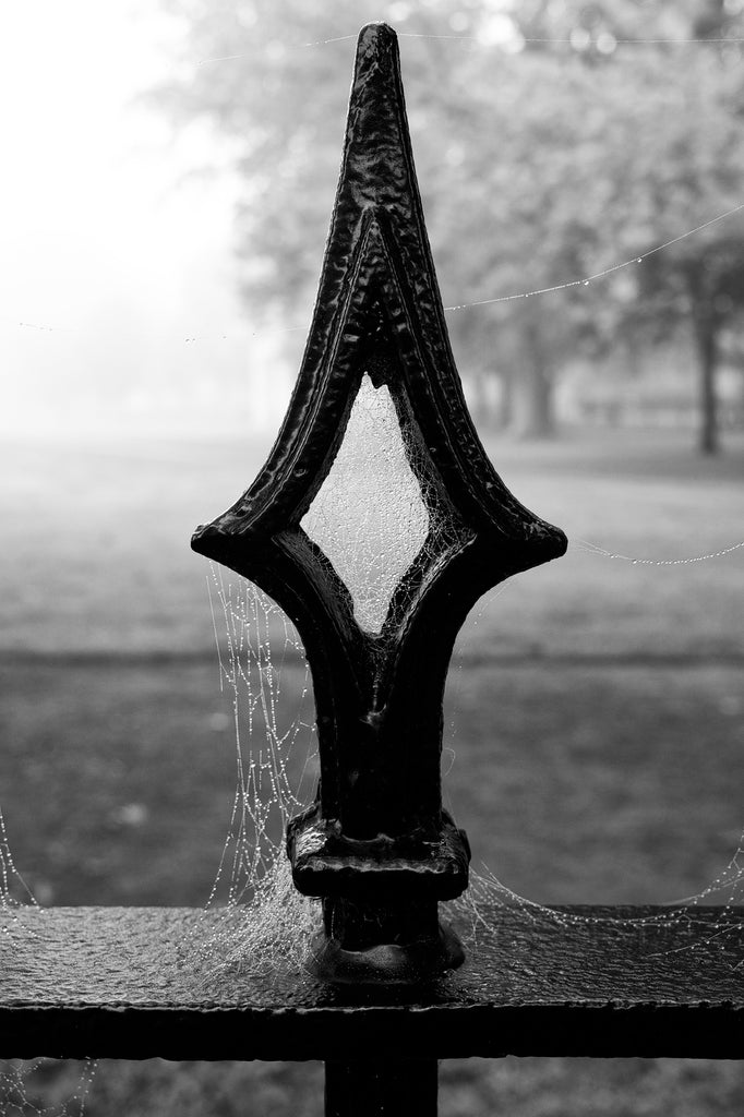 New England Fence with Fog and Dewdrops - Black and White Photograph (KD11226X)