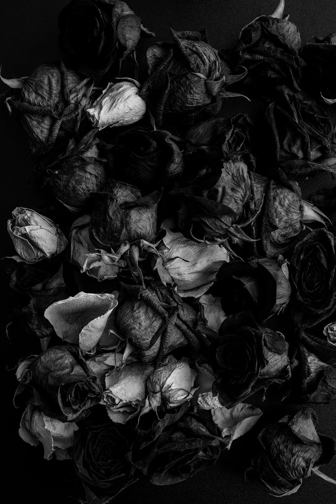 Black and white photograph of a textured collection of dead red and white roses.