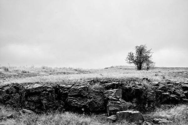 Black and white winter photograph of the inland Oregon landscape with a solo tree.