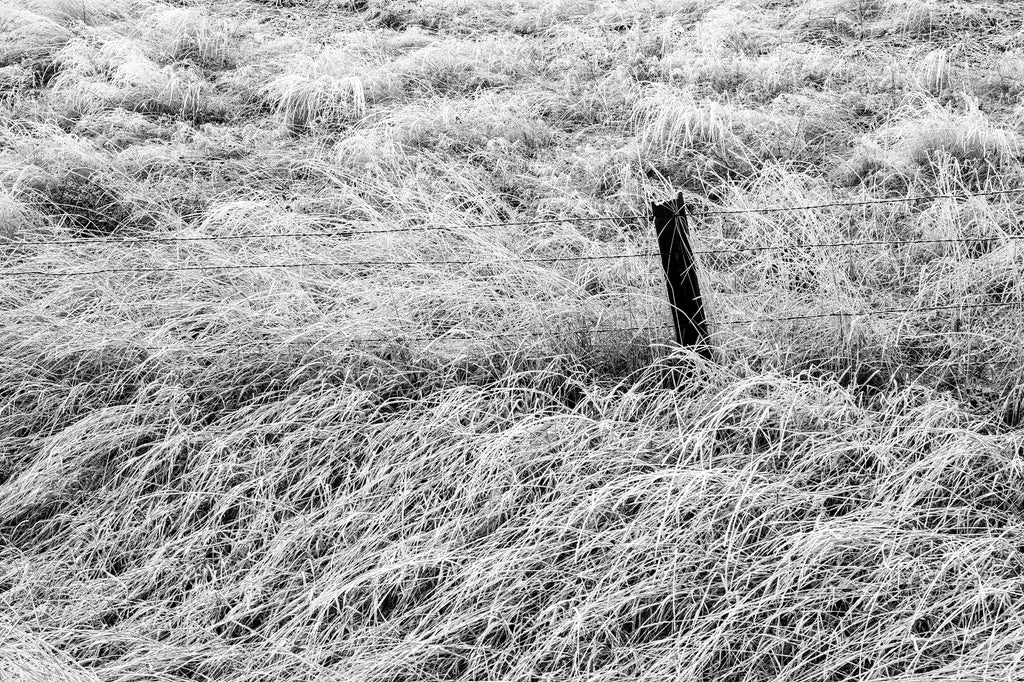 Black and white photograph of the rural Oregon landscape featuring a fence line running through icy grass.