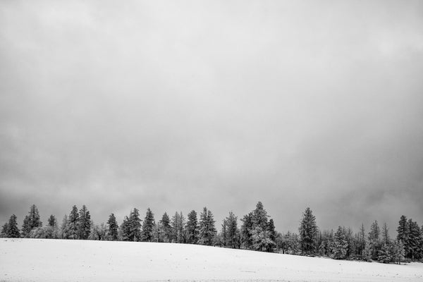 Black and white photograph of the rolling landscape of inland Oregon coated in a perfect blanket of snow.