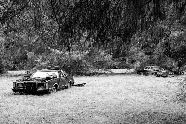Black and white photograph of two vintage cars abandoned in the deep forests of Oregon.