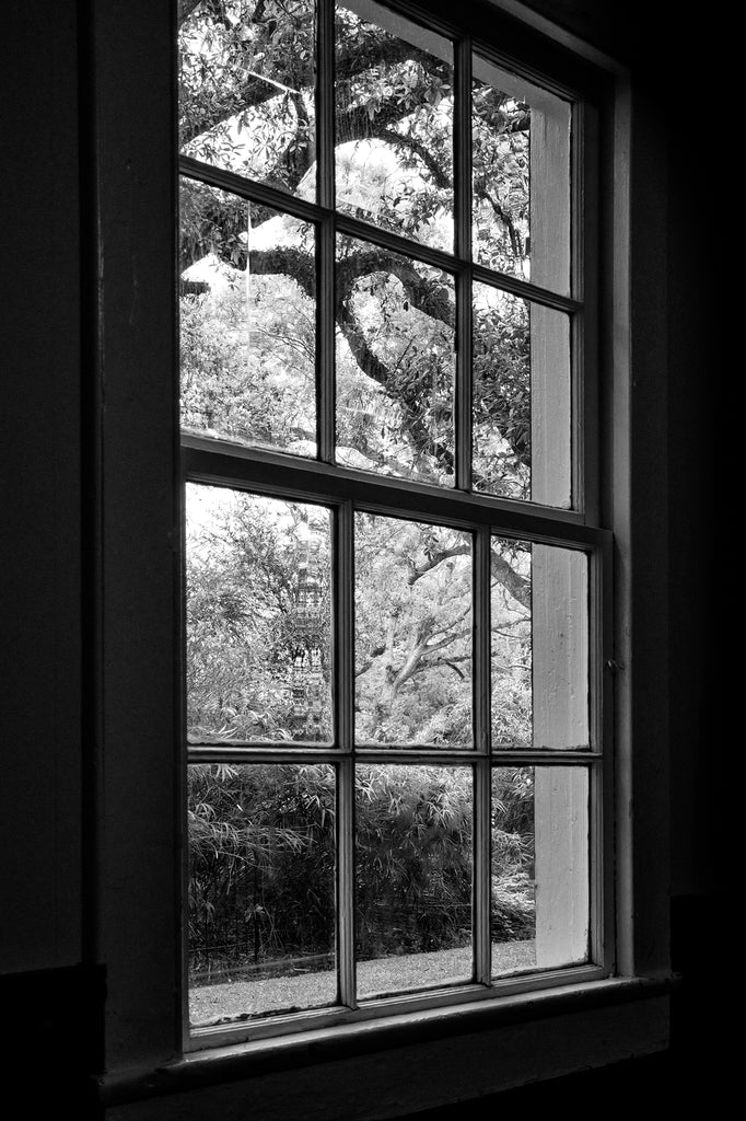 Black and white photograph looking out the window of an old house at a rainy day landscape.