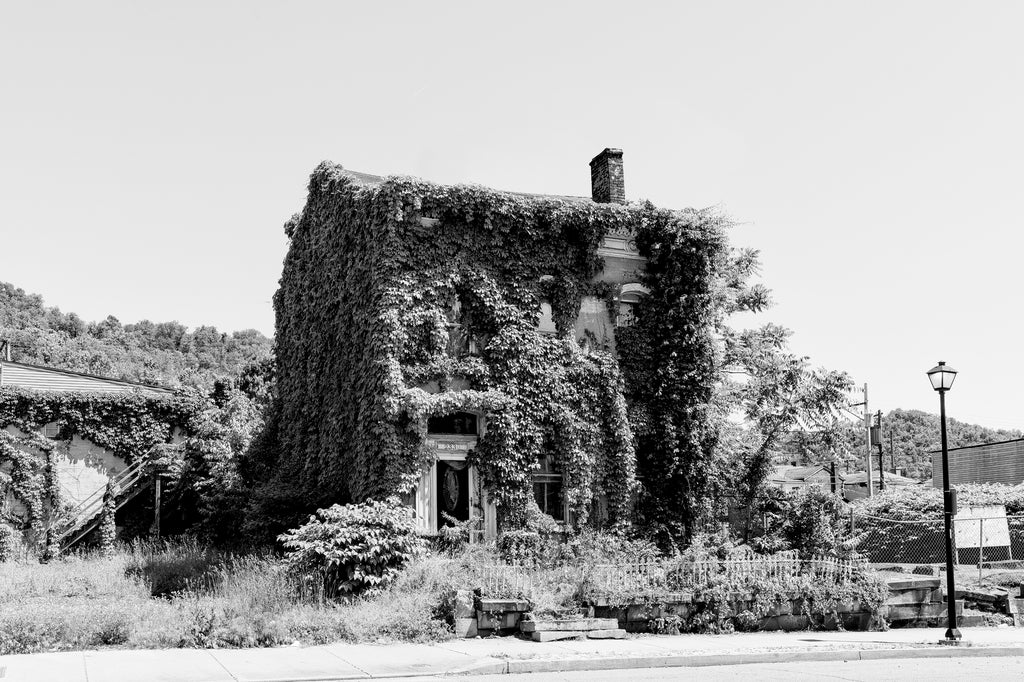Black and white photograph of a beautiful historic abandoned house that has been consumed by vines on Chapline Street in Wheeling, West Virginia.