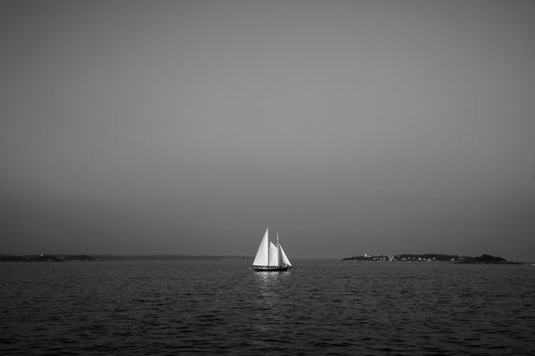 Black and white photograph of the white sails of a sailboat catching the last glow of sunset off the darkening coast of Massachusetts.