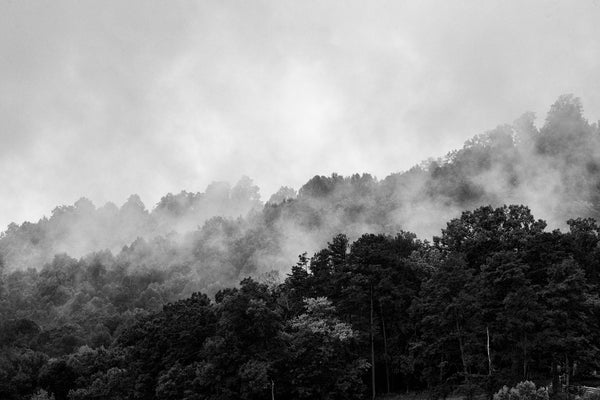 Black and white landscape photograph of morning fog rising from the Appalachian mountains in the American South.