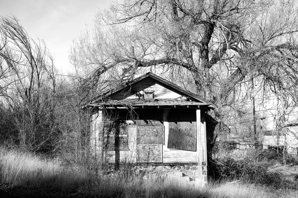 Black and white photograph of an abandoned house standing beneath a cottonwood tree amidst overgrown brush near old Route 66 in Ash Fork, Arizona.
