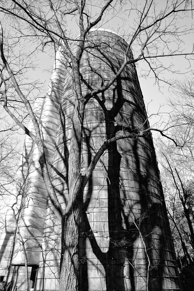 Black and white photograph of a towering grain silo with tall trees casting shadows across its exterior walls on a bright winter day.