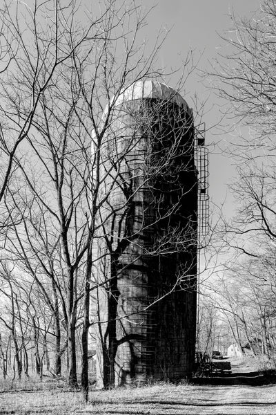 Black and white photograph of a tall grain silo towering among the trees on a former dairy farm.