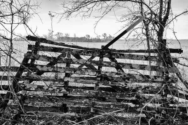 Black and white photograph of the weathered slats of a rustic old farm fence in the rural landscape.