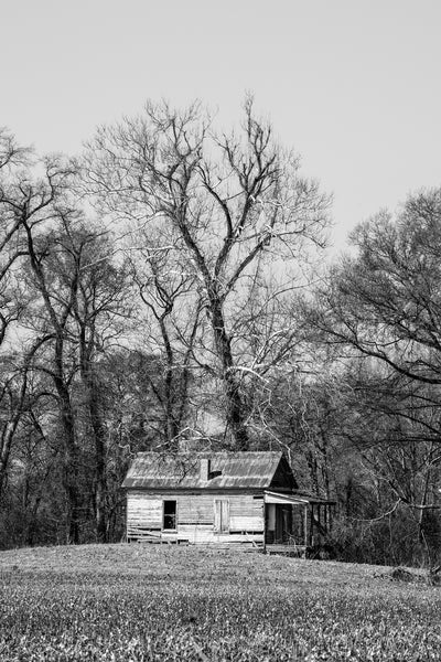 Black and white photograph of an abandoned old farm house in the treeline along a farm field in the Mississippi Delta landscape.