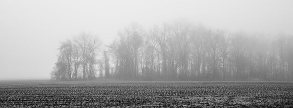 Black and white panoramic landscape photograph of a farm field with a row of trees seen through a dense morning fog.