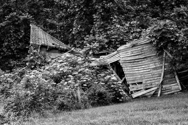 Black and white photograph of the bowed roof of a collapsing house in the rural American South.