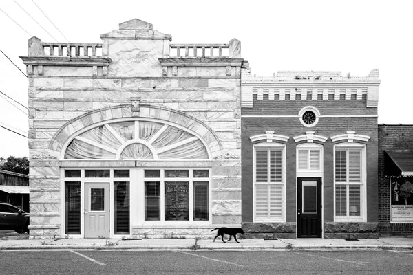 Black and white photograph of black dog walking down a sidewalk lined with historic buildings in a small southern town.