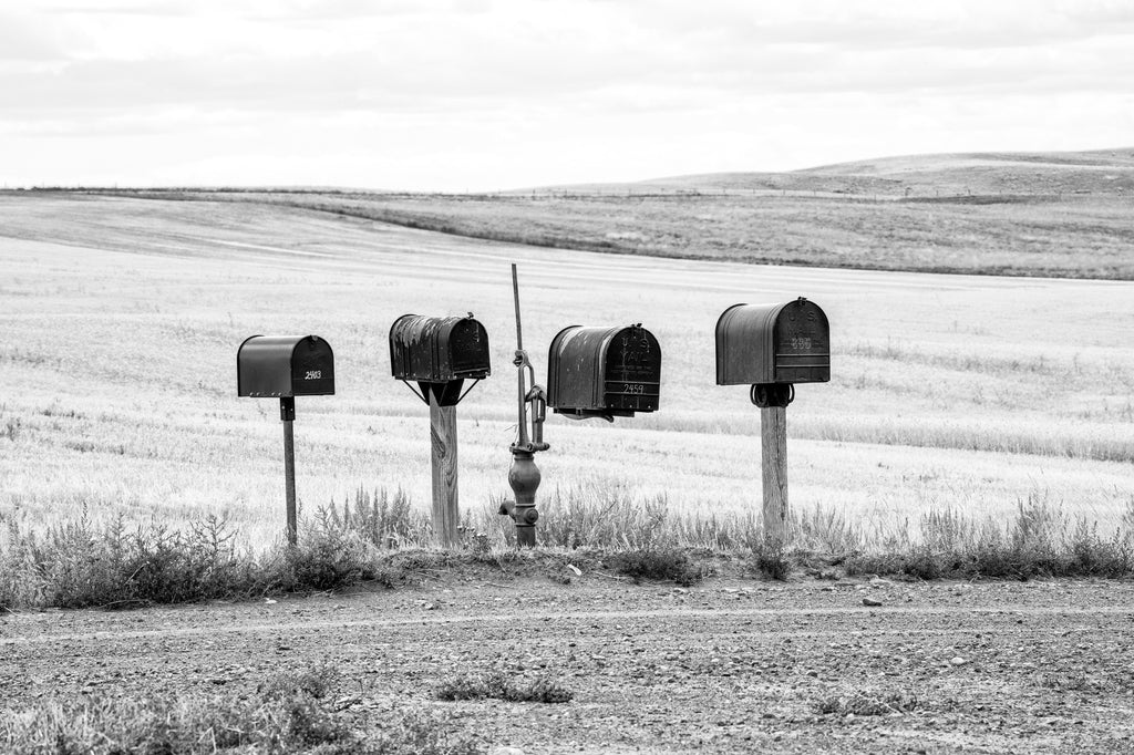 Black and white photograph of four mail boxes on a back road in the vast Montana landscape.