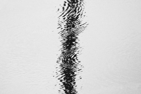 Black and white abstract landscape photograph featuring the reflection of a black tree in the rippled surface of a pond.