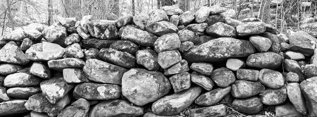 Black and white wide-format photograph of an old dry stone wall in the forest of the Great Smoky Mountains National Park of Tennessee.