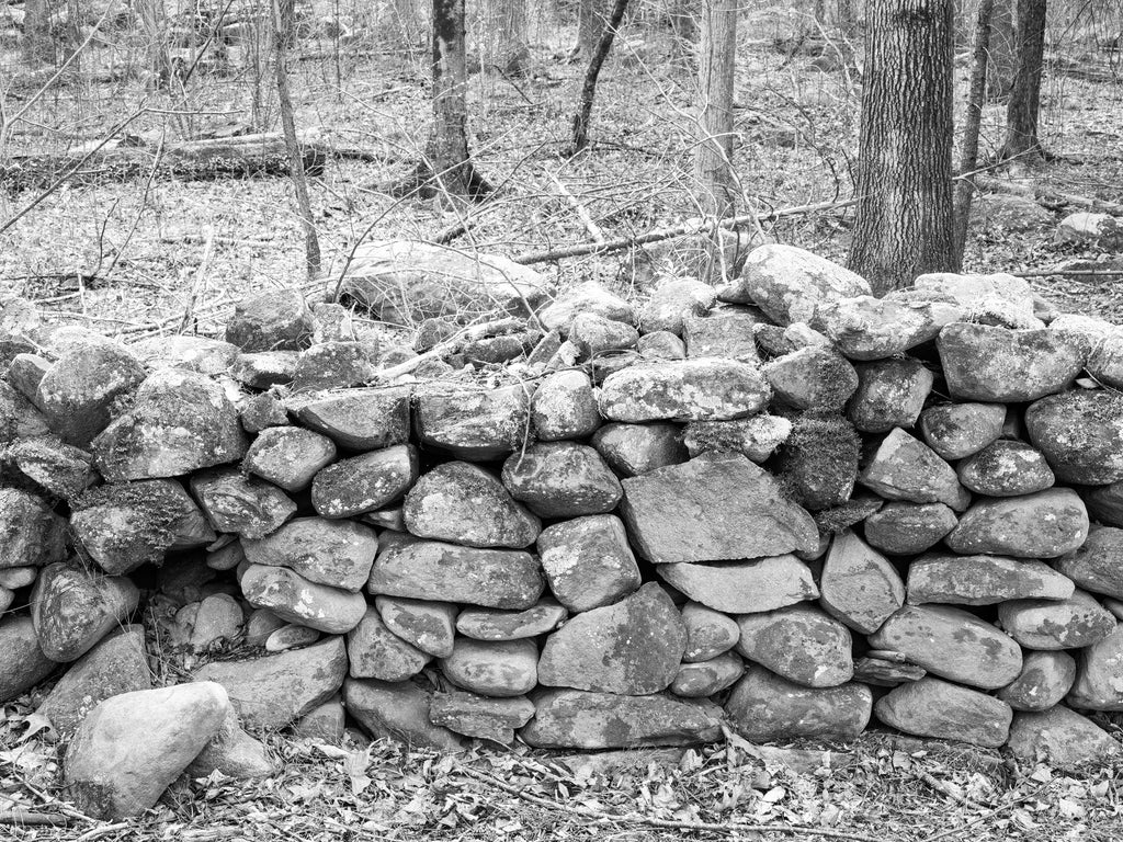 A black and white photograph of a rustic dry stone wall made of irregular stacked rocks, with a forest background of bare trees and leaf-covered ground.