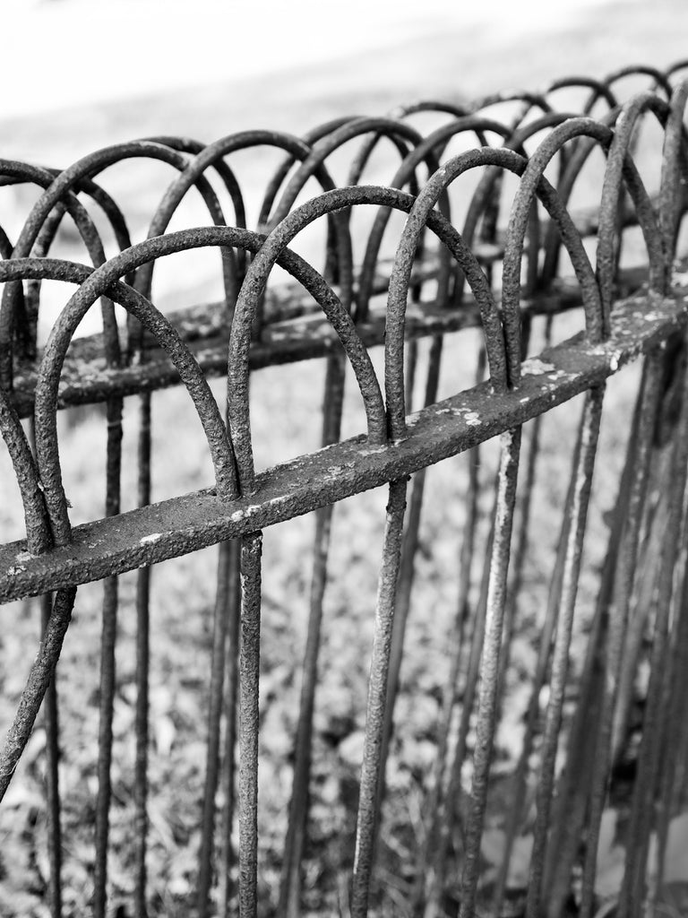 Black and white photograph of a rusty antique iron fence with rounded loops on top found in the historic Mohawk Valley of upstate New York.