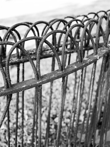 Black and white photograph of a rusty antique iron fence with rounded loops on top found in the historic Mohawk Valley of upstate New York.