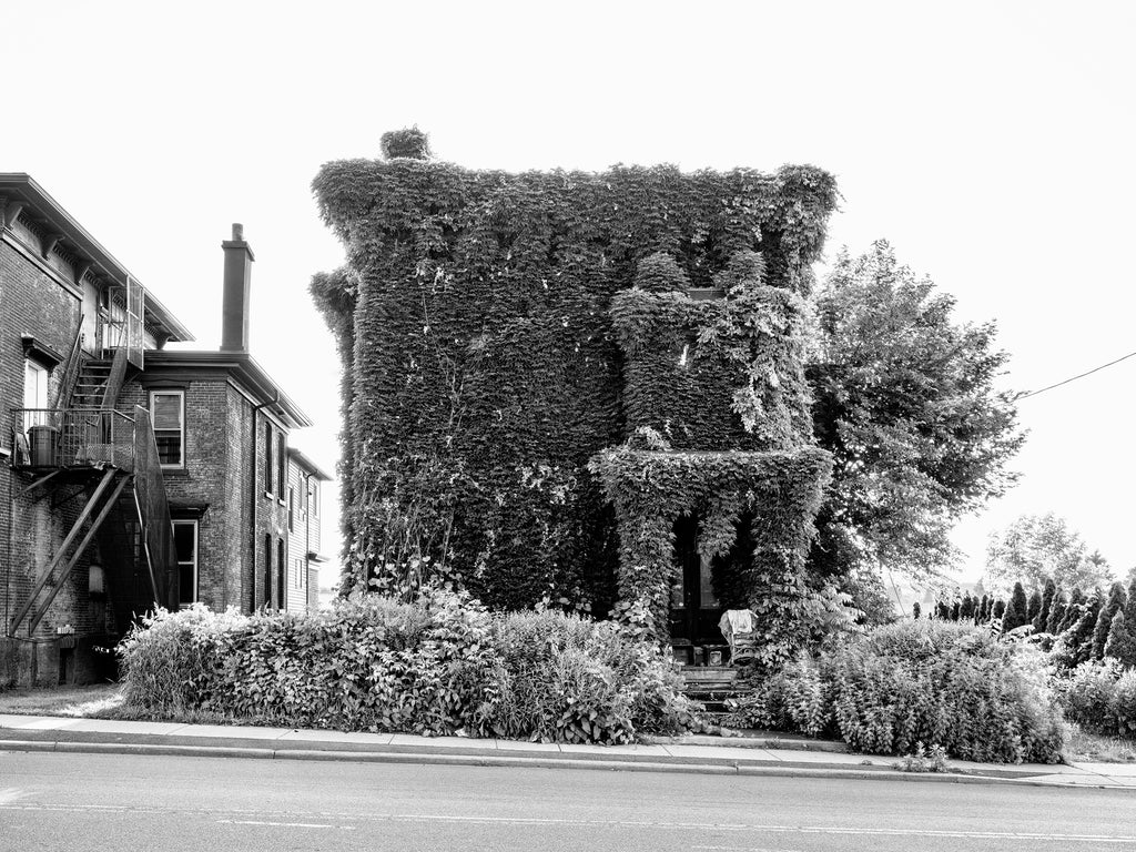 Black and white photograph of an abandoned house completely enveloped with dense ivy seen in Utica, New York.