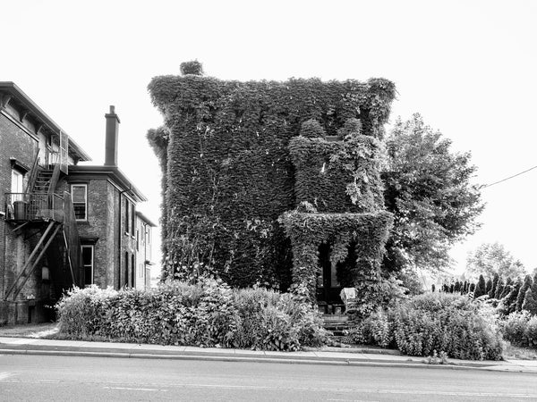 Black and white photograph of an abandoned house completely enveloped with dense ivy seen in Utica, New York.