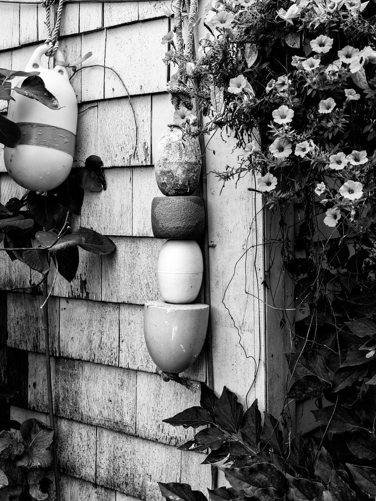 Black and white photograph of lobster buoys hanging alongside flower blossoms on the weathered exterior of an old house in coastal New England.