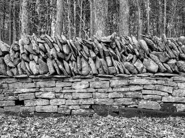 Black and white photograph of the beautiful old stone wall in the forests of Long Hunter State Park near Nashville.