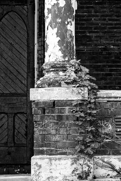 Black and white photograph of a white column wrapped by ivy on the front porch of Louisville's historic abandoned Quinn Chapel.