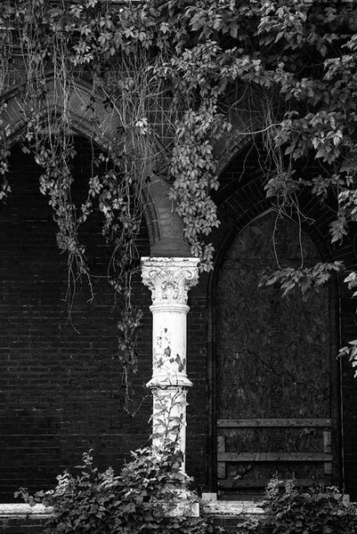 Black and white photograph of a white Corinthian column surrounded by ivy on the portico of Louisville's abandoned Quinn Chapel.