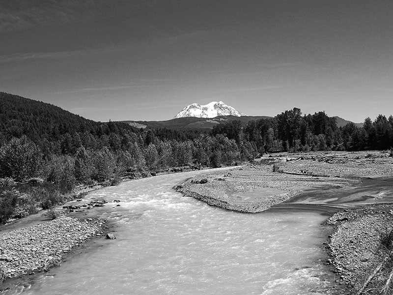 Black and white landscape photograph of the Nisqually River with the massive Mt. Rainier gleaming in the distance. 
