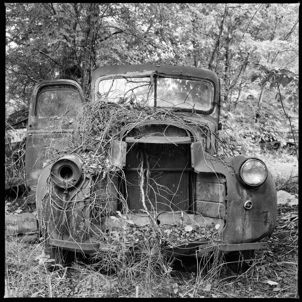 Black and white photograph of a rusty antique truck covered in dead vines in a junkyard in the American South.  This photograph was shot on medium format Cinestill Double-X BwXX black and white film using a vintage Hasselblad camera. This film is cut and repackaged from a classic Kodak motion picture film. Film photography provides a different look than digital photography and prints will display a pleasing amount of film grain and will include the black frame edge as seen in the scan. (Square format)