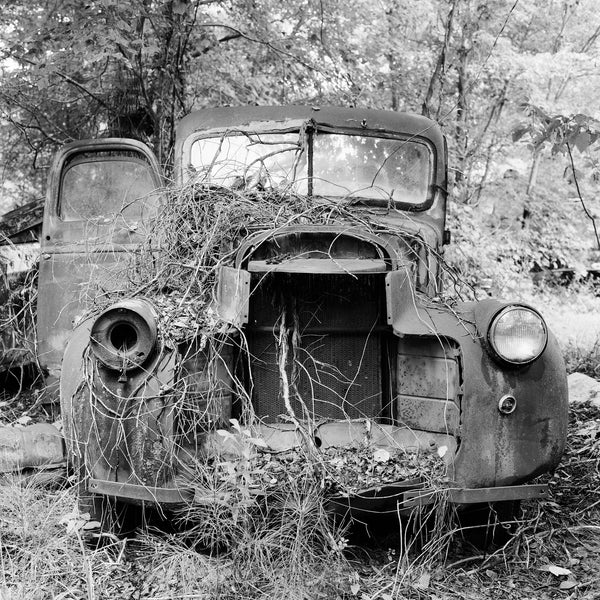 Black and white photograph of a rusty antique truck covered in dead vines in a junkyard in the American South. (Square format)