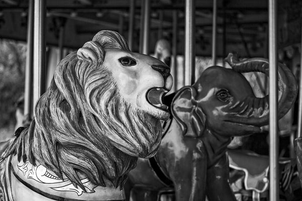 Black and white fine art photograph of a shiny elephant head and lion head on an antique children's carousel.