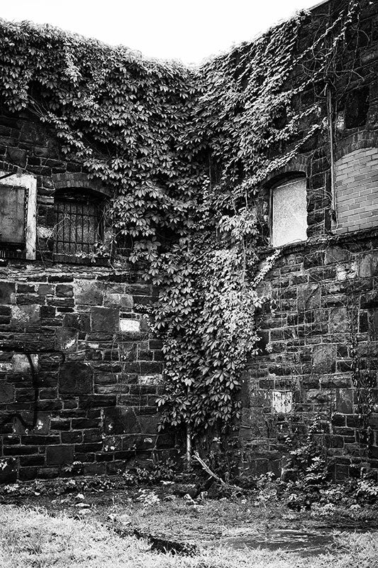 Black and white photograph of an abandoned industrial building -- overgrown with ivy -- located in downtown Birmingham, Alabama near Sloss Furnaces.